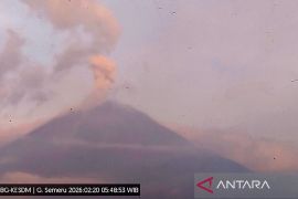 Gunung Semeru tujuh kali erupsi dengan tinggi letusan hingga 1 km