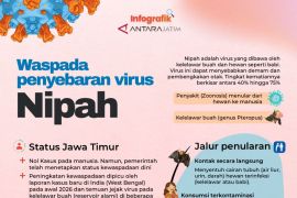 Waspada penyebaran virus Nipah
