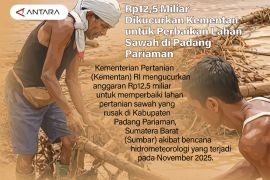 Rp12,5 Miliar Dikucurkan Kementan untuk Perbaikan Lahan Sawah di Padang Pariaman