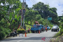 PLN UP3 Jayapura lakukan pemeliharaan terpadu antisipasi cuaca buruk