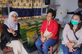 Bapanas sebut harga daging di Merauke stabil