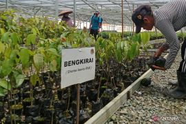 Target kawasan lindung IKN capai 164.000 hektare