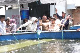 Petani Pasaman Barat peroleh kiriman  alsintan dan benih jagung hibrida