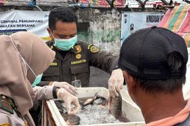 Balai Karantina Sulut awasi komoditas jaga mutu pangan Ramadhan