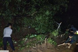 Jalur Banjarwangi selatan Garut yang tertutup longsor kembali normal