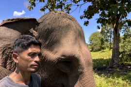 Sungai Peusangan terdampak bencana sehingga ekosistem gajah berubah