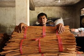 Optimisme petani kayu manis Agam yang sempat galau terdampak bencana galodo