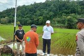 Pemkot prioritaskan perbaikan irigasi sawah pascabanjir di Baubau