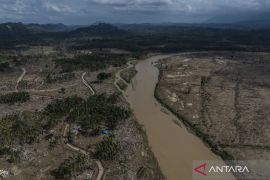 Warga Sahraja, Aceh Timur bangun rumah ibadah dari kayu gelondongan
