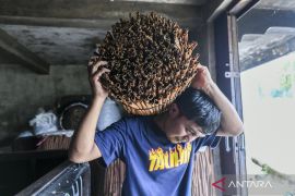 Meski sudah terhubung, jalan alternatif Malalak belum dibuka untuk umum