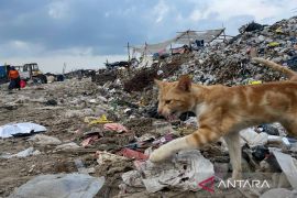 DPRD Kota Cirebon meminta pemda susun perda terkait program LH