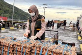 Balai Karantina Sulut awasi pasokan logistik di bandara dan pelabuhan