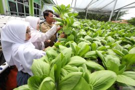 Sekolah inovasi ketahanan pangan di Kota Kediri