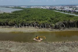 KKP targetkan proyek karbon biru dapat masuk ke pasar perdagangan pada 2027