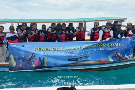 PT Timah tenggelamkan 35 atraktor cumi di Perairan Belitung Timur