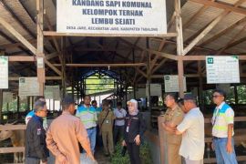 Disbunnak Kalsel percepat pembangunan pertenakan