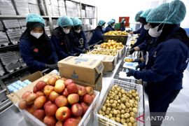 MBG serap anggaran Rp36,6 triliun per 21 Februari