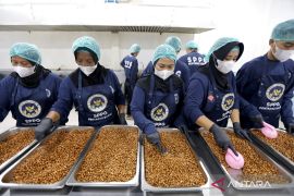 BGN: MBG ciptakan pasar besar dan insentif bagi sektor peternakan