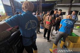 Kadin dan Apdurin Parigi Moutong kawal ekspor durian ke Tiongkok