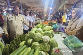 Pemprov Papua mulai lakukan uji residu pestisida di pasar