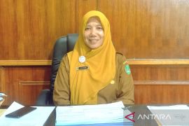 Diskeptan Sukamara dorong revitalisasi sawah di wilayah pesisir