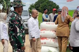 Target penyerapan gabah Bulog Kotim meningkat jadi 16 ribu ton