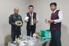 Karantina Sulut-Avsec Bandara gagalkan penyelundupan satwa laut dilindungi