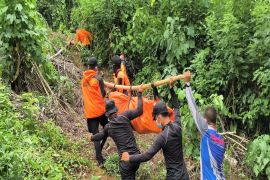 Lansia hilang lima hari di hutan Mamuju ditemukan tak bernyawa