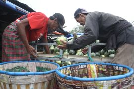 Pasokan blewah kretek di Malang