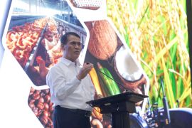 Mentan tegaskan alihkan anggaran bagi daerah tak serius cetak sawah