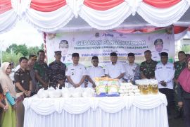 Pemprov Malut hadirkan pangan murah di Pulau Morotai