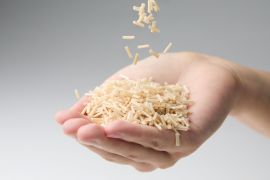 Polyplastics Develops New PLASTRON(R) LFT Grades with Post-consumer Recycled Content