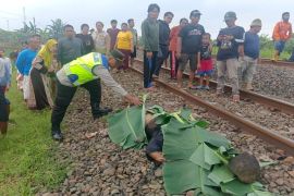 Polres Batang mengevakuasi tiga korban tertabrak KA Tawang Jaya