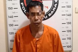 Gubuk jadi gudang ganja? Satresnarkoba Polres Batu Bara datang, 75,92 Gram ikut diamankan