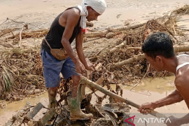 Kementan kucurkan Rp12,5 miliar perbaiki lahan sawah terdampak bencana di Padang Pariaman