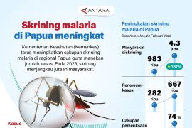 Skrining malaria di Papua meningkat