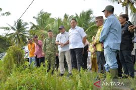 Gorontalo kejar target realisasi program cetak sawah baru
