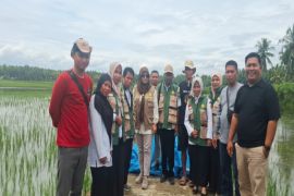 Petani di Polman alami kekeringan sawah