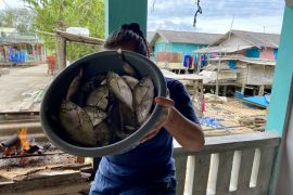 Pemko Batam targetkan ekspor ikan ke Singapura capai Rp270 miliar di tahun 2026