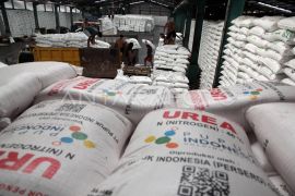 Pasokan pupuk urea aman meski gejolak di Selat Hormuz