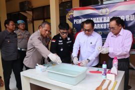 Komitmen lindungi bangsa, Polres Kotim musnahkan sabu bernilai Rp335 juta