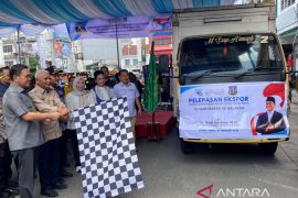 Menteri Perdagangan lepas ekspor keripik pisang kepok Tebing Tinggi