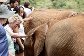 Menengok Suasana Panti Asuhan Gajah di Nairobi, Kenya