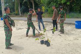 Satgas TMMD Bangka Selatan tanam pohon untuk kelestarian lingkungan