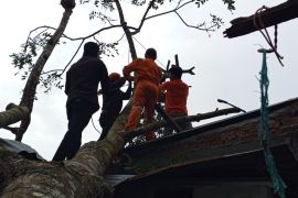 BPBD Rejang Lebong ajak warga waspadai potensi angin kencang