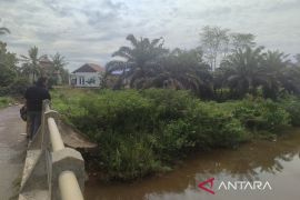 Bengkulu targetkan peremajaan 3.500 hektare sawit pada 2026