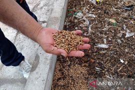 Etika pangan kita di tengah krisis iklim