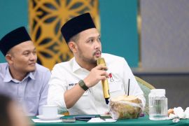 Anggota DPR kata dia minta pemerintah tegas respons AS soal panel surya RI