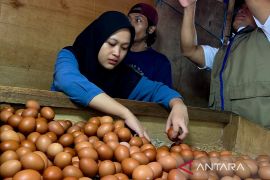 Bapanas tegaskan terus jaga kewajaran harga pangan selama Ramadhan