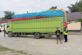 Polda Gorontalo tertibkan kendaraan bermuatan lebih